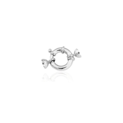 ANELLI A MOLLA SPECIALE