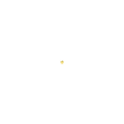 SOLID MICRO BEADS